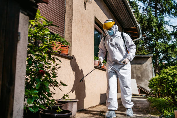 Professional Pest Control in Dryden, MI