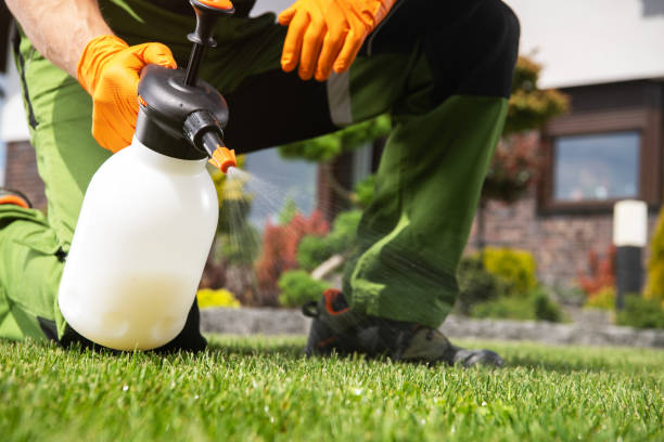 Best Wasp Removal Services  in Dryden, MI