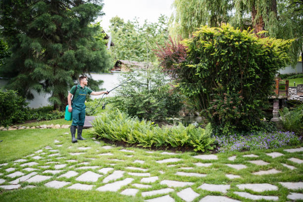 Flea Control Services in Dryden, MI