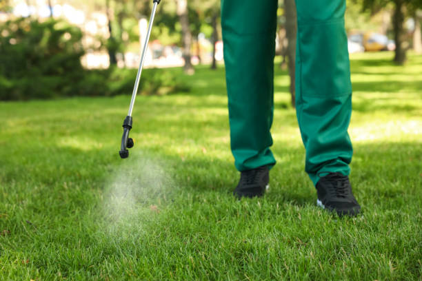Best Local Pest Control Services  in Dryden, MI