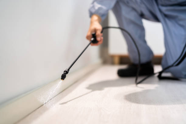 Professional Pest Control in Dryden, MI