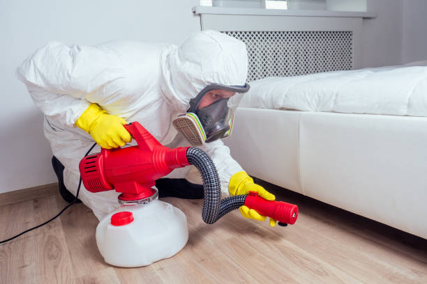 Best Mosquito Control Services  in Dryden, MI