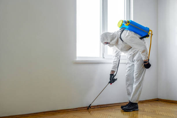 Best Ant Control Services  in Dryden, MI