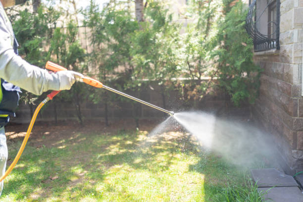 Best Pest Control Near Me  in Dryden, MI