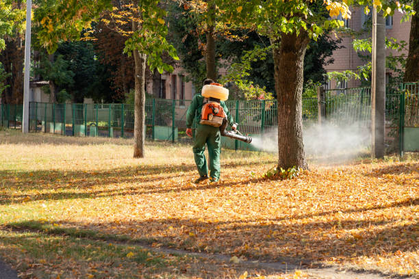 Best Pest Control Near Me  in Dryden, MI