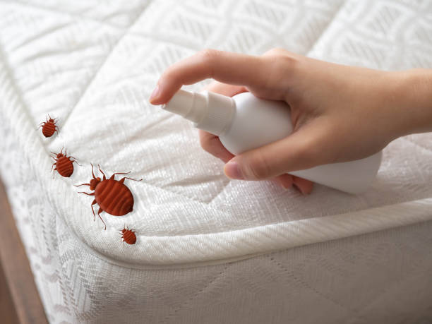 Best Cockroach Control Services  in Dryden, MI