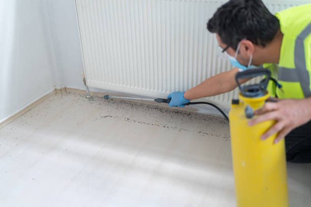 Best Exterminator Services  in Dryden, MI