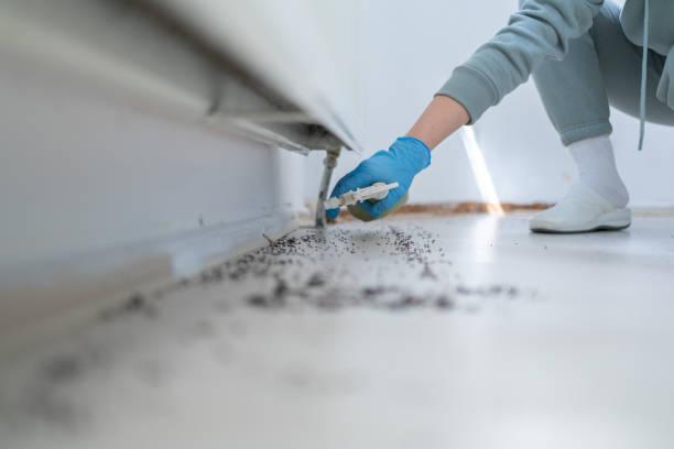 Best Pest Inspection Near Me  in Dryden, MI