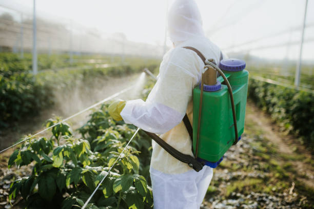 Best Pest Removal Services  in Dryden, MI